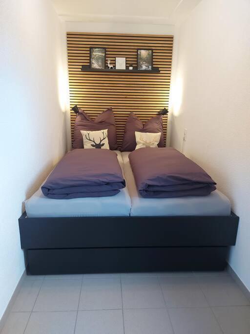 ברנאו אים שוורצוואלד Ferienwohnung Lina Mit Toller Terrasse Im Schwarzwald מראה חיצוני תמונה
